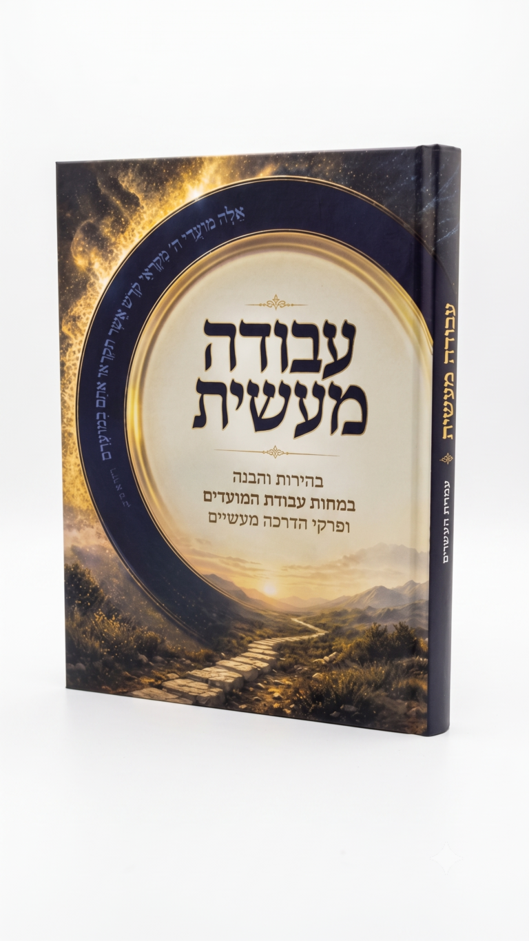 עבודה מעשית